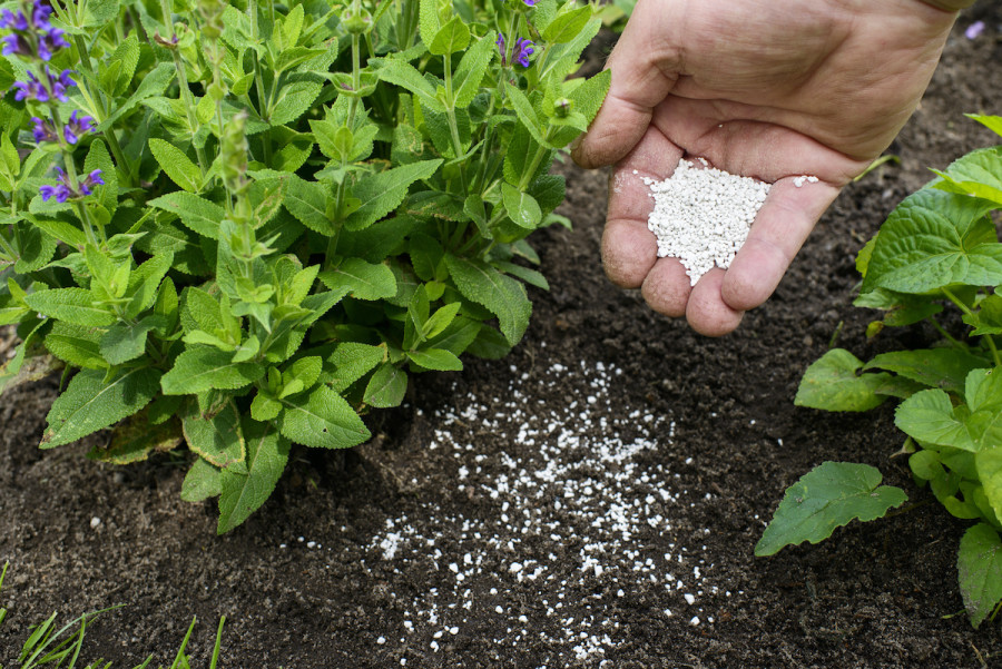 Garden Lime Neutralizer Garden Lime Neutralizer