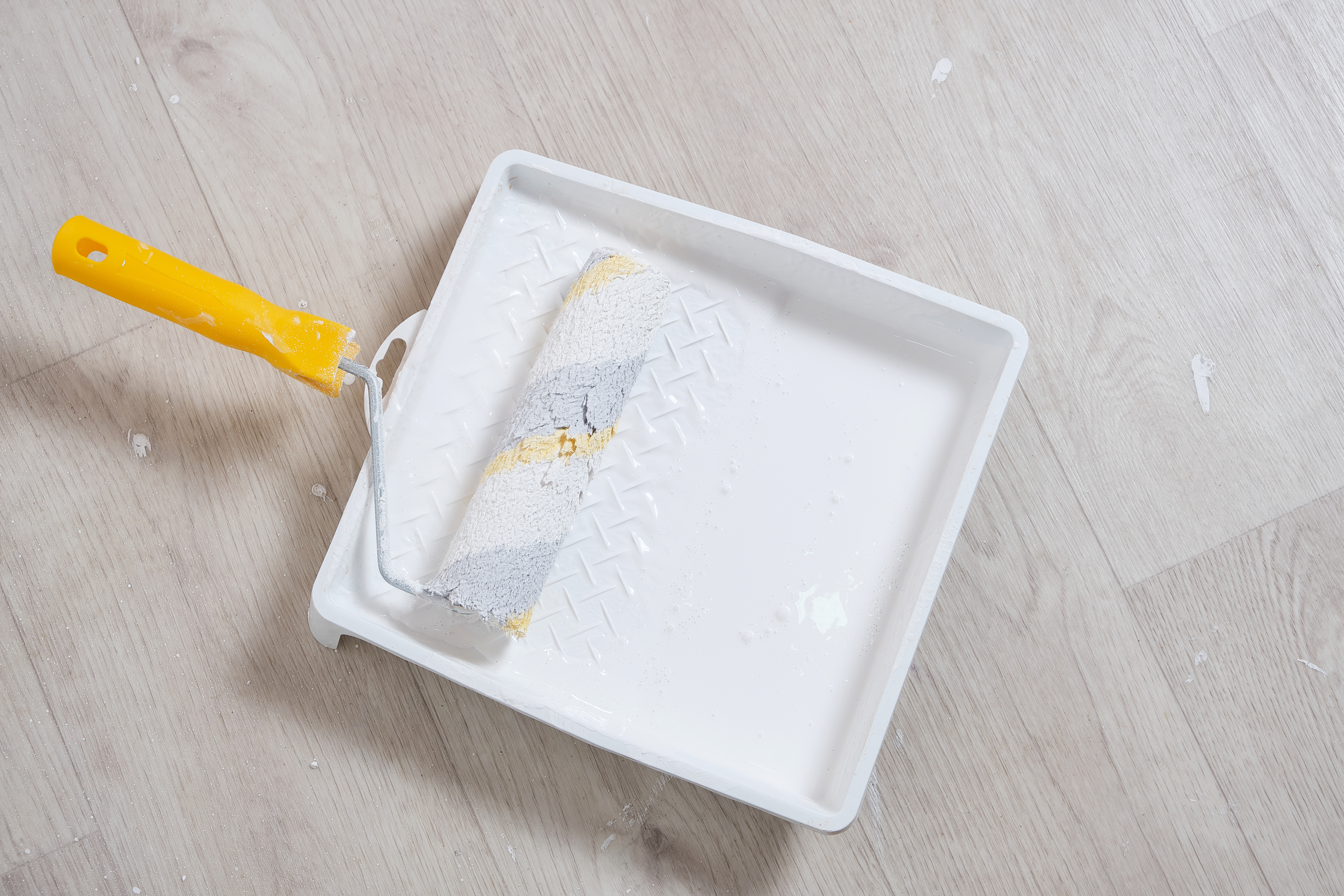 Paint Tray And Roller Brush