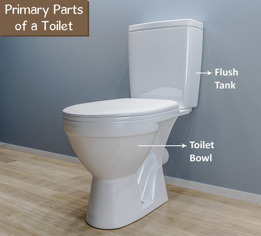 Primary Parts Of A Toilet Primary Parts Of A Toilet