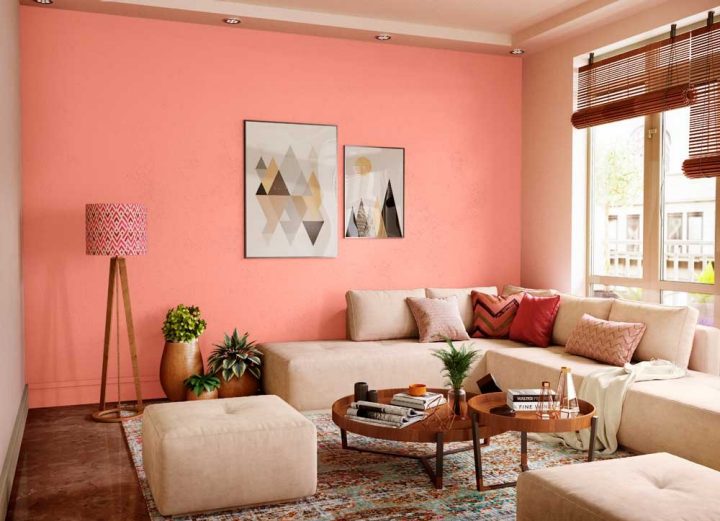Salmon Pink Modern Living Room Salmon Pink Modern Living Room