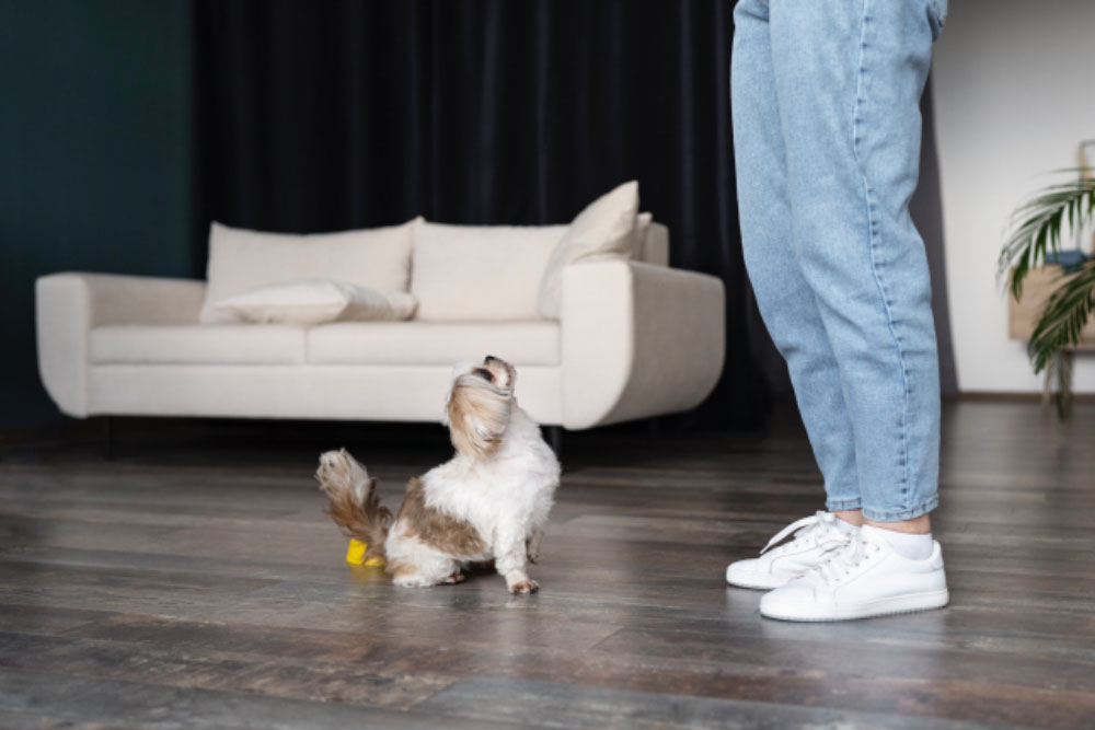 Scratch Resistant Laminate