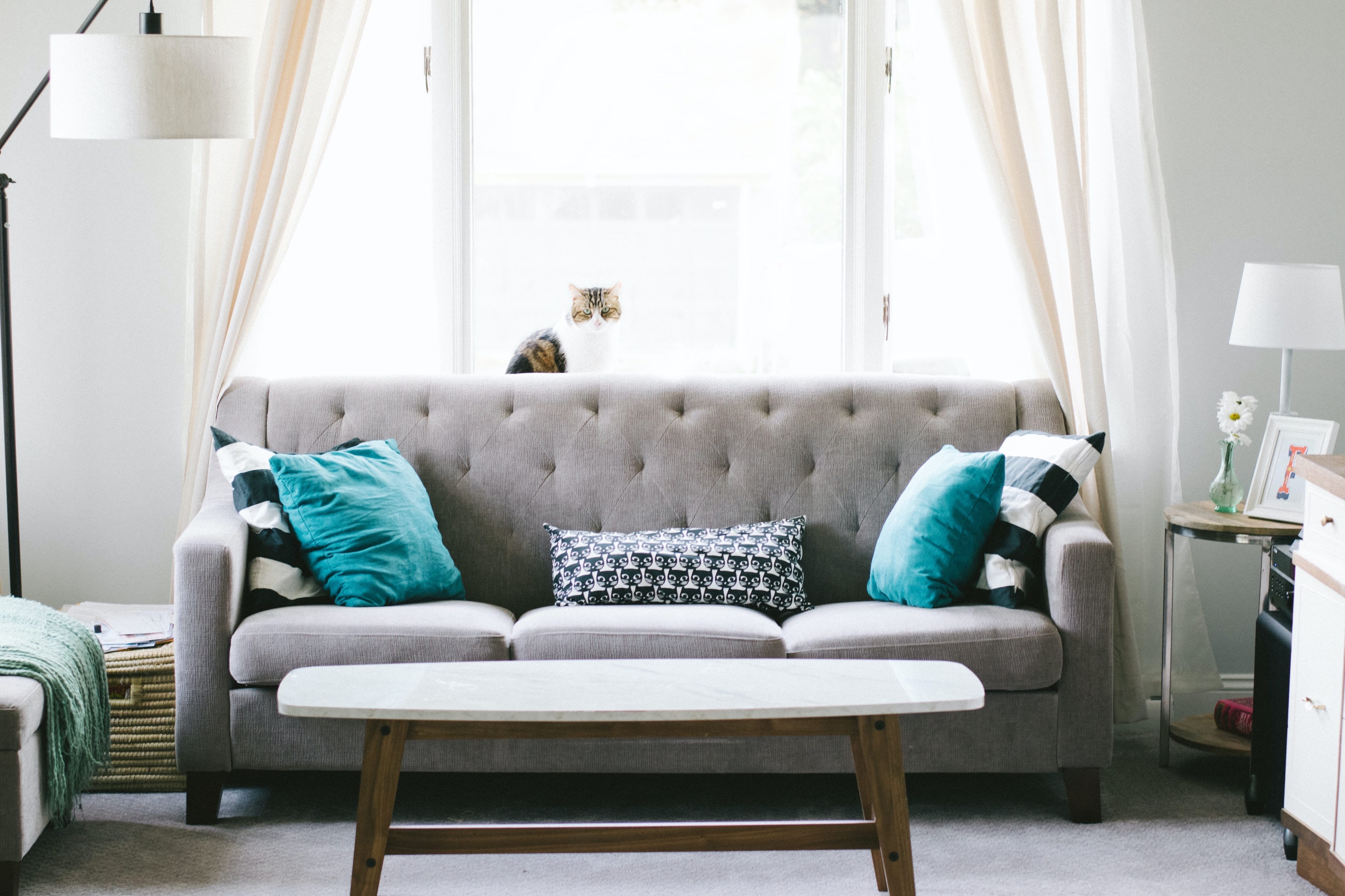 Sofa For Your Living Area