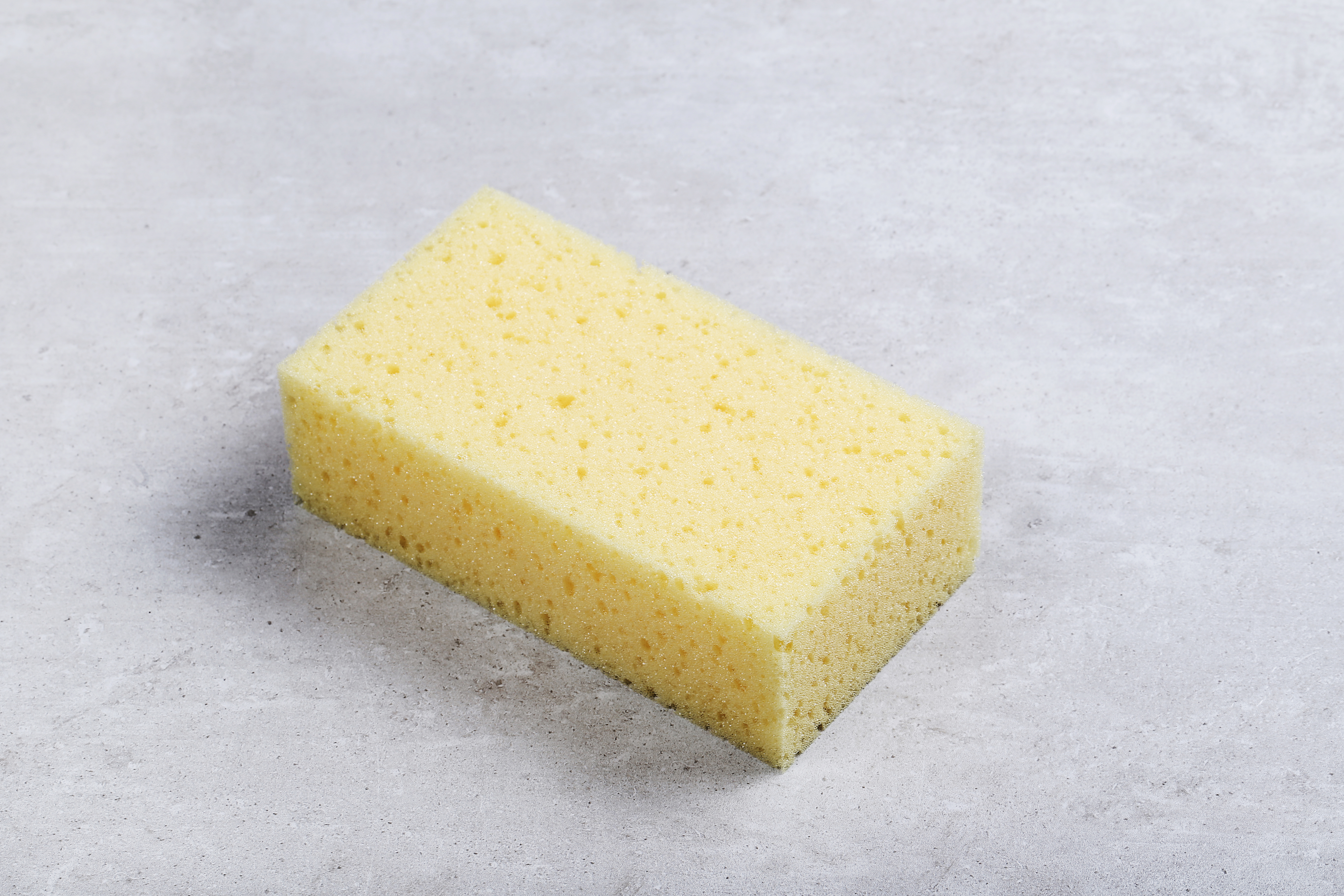 Sponge Sponge