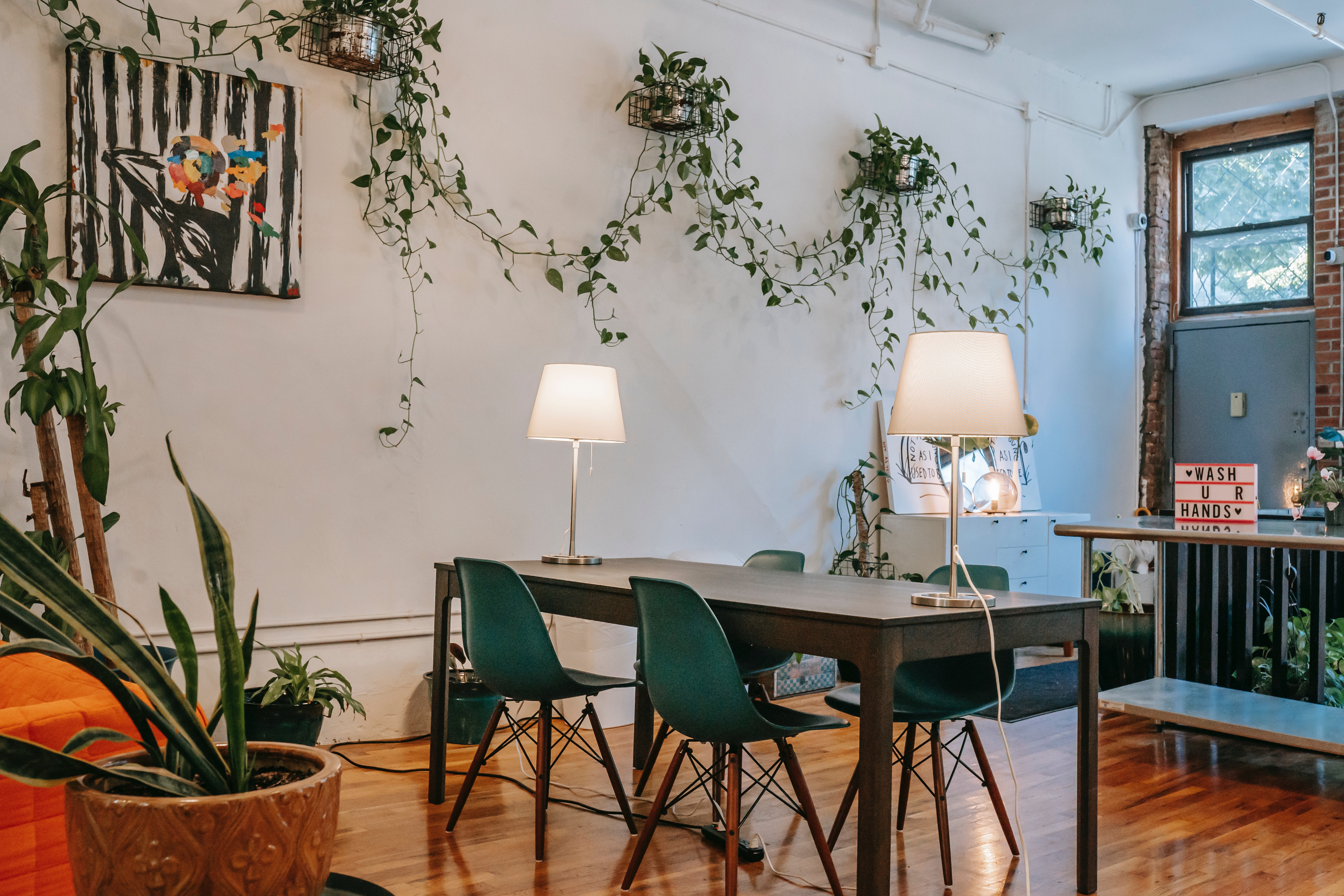 Indoor Garden of Plants