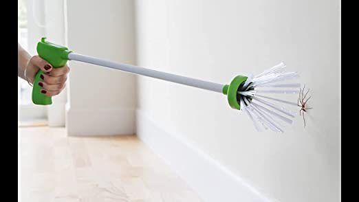 Catching Spider