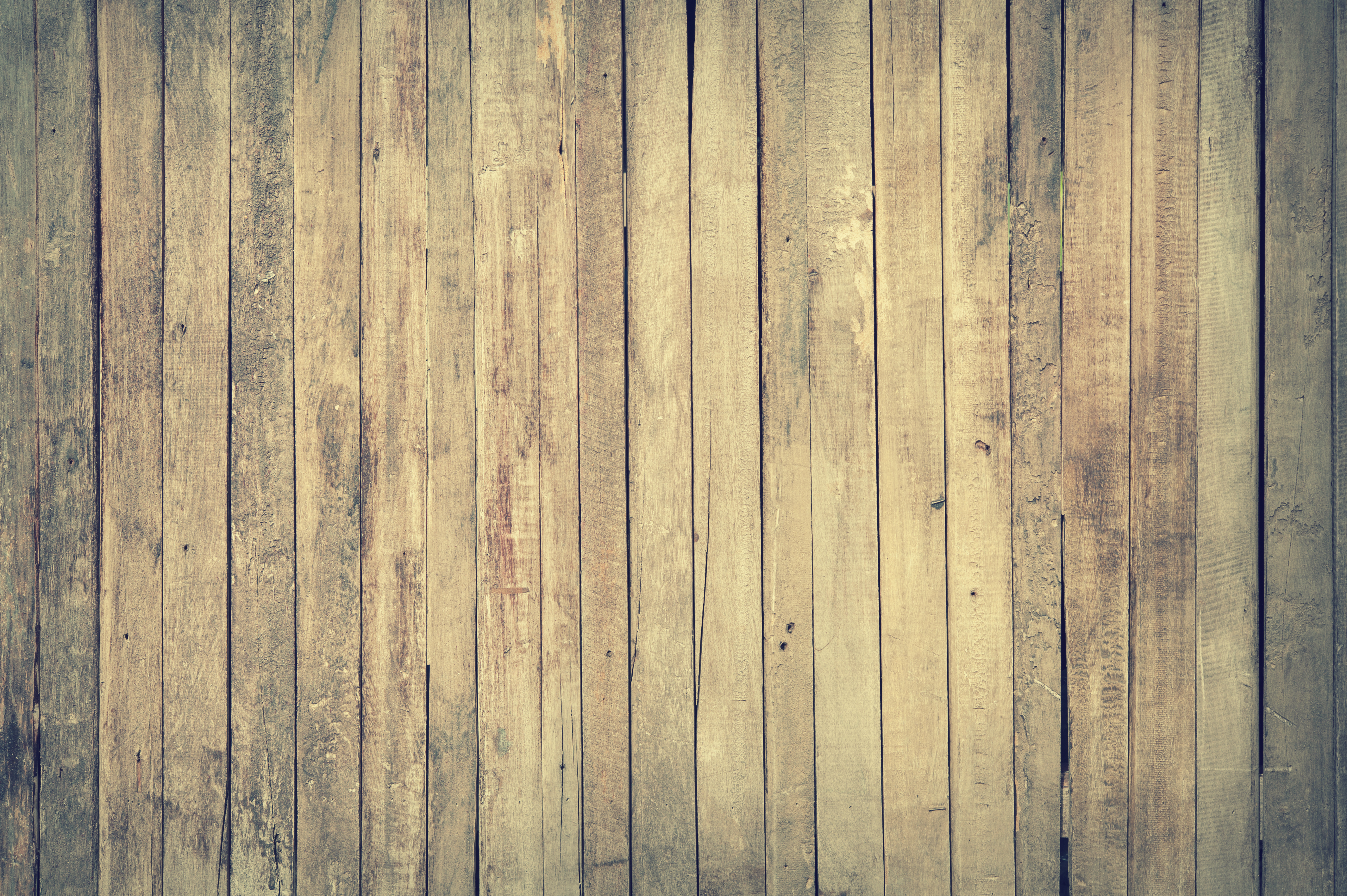 Dry Wood Surface Dry Wood Surface