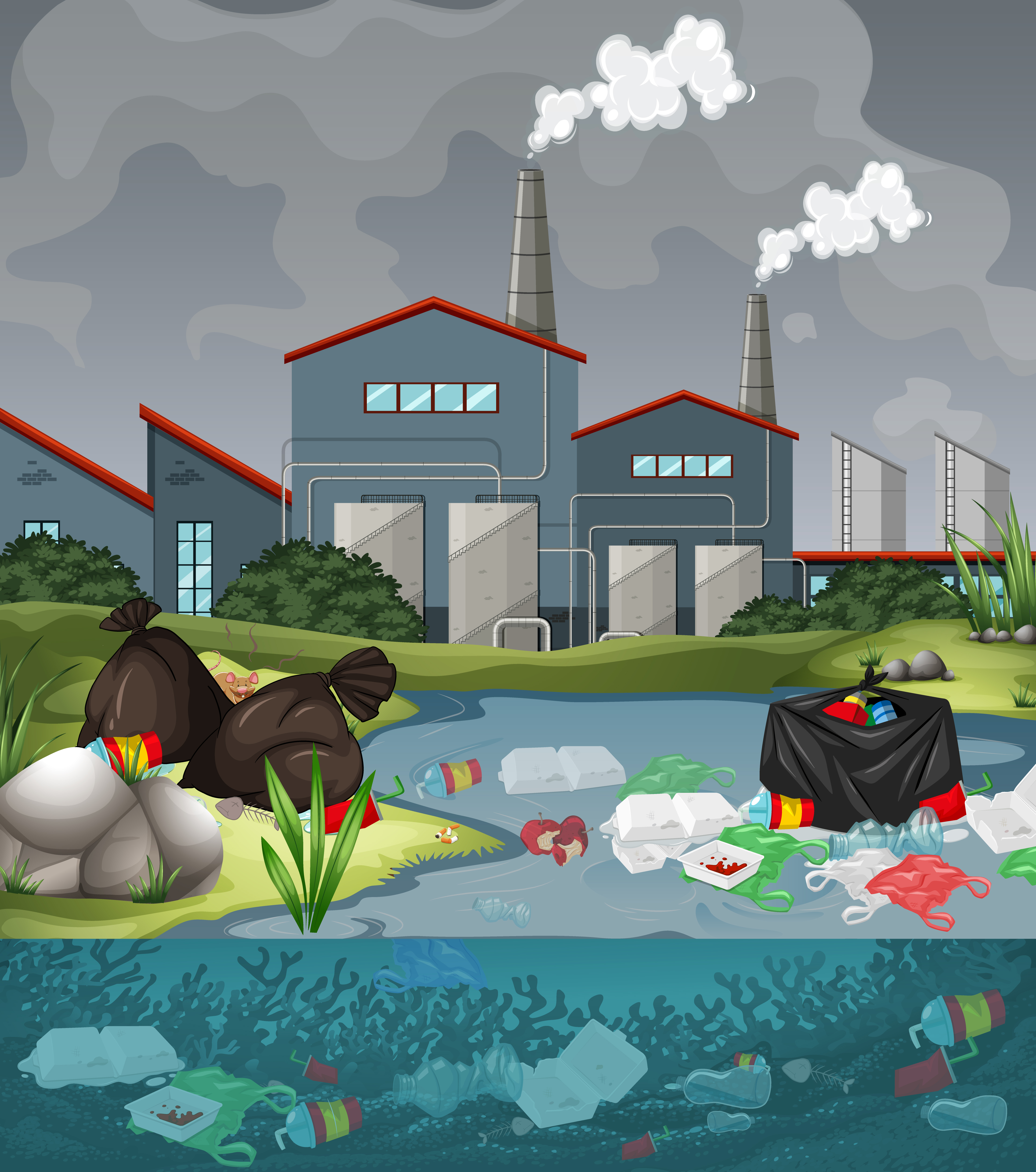 Environmental Impacts Environmental Impacts
