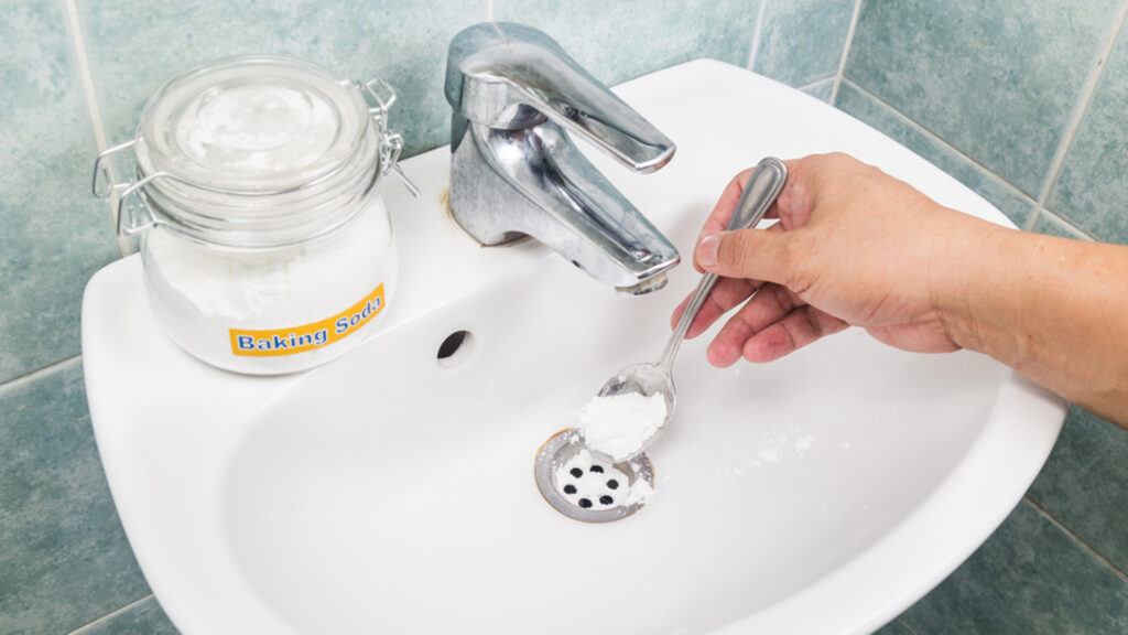 Monthly Maintenance: Garbage Disposal Cleaning