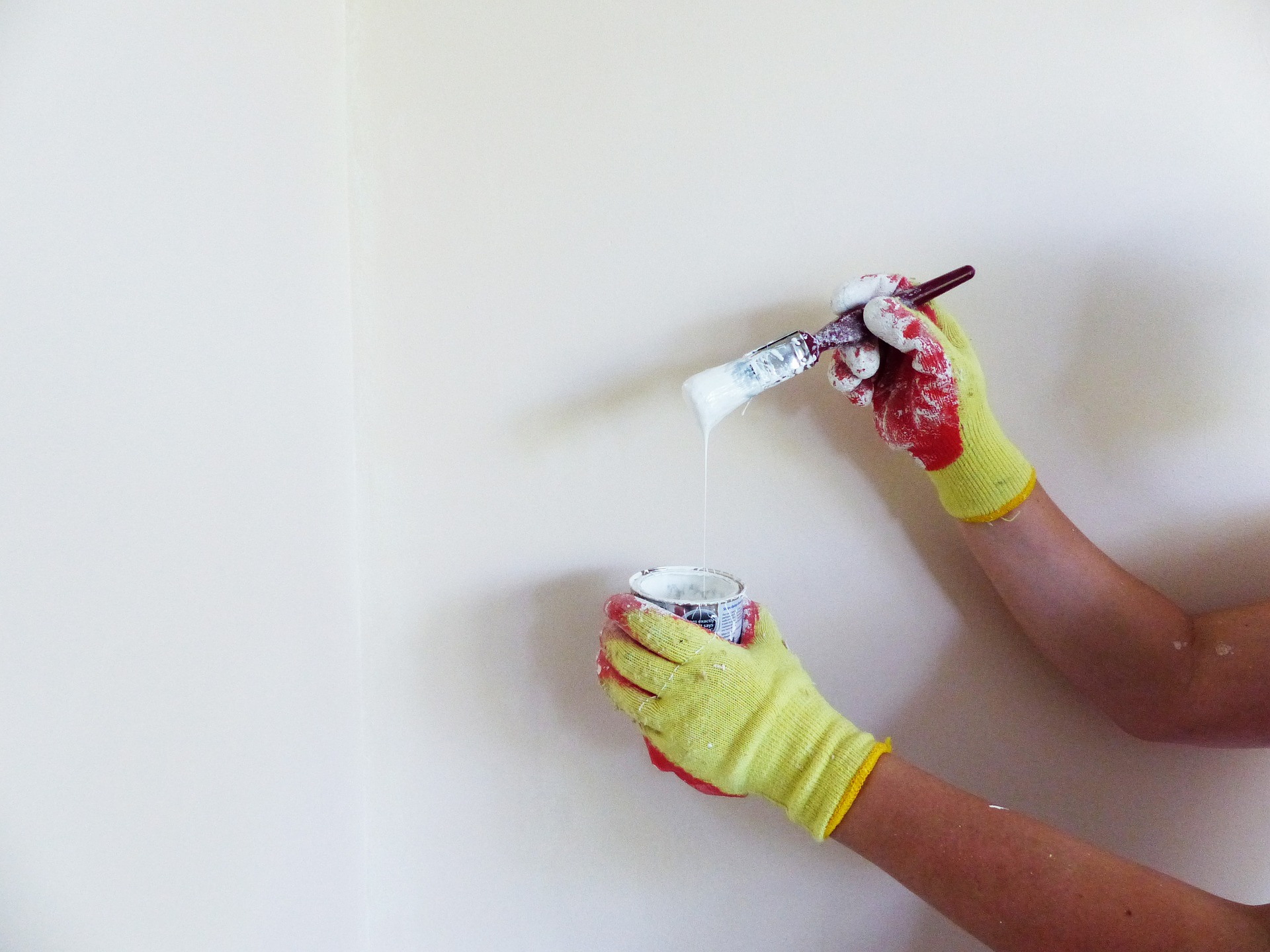 Paint Primer Paint Primer