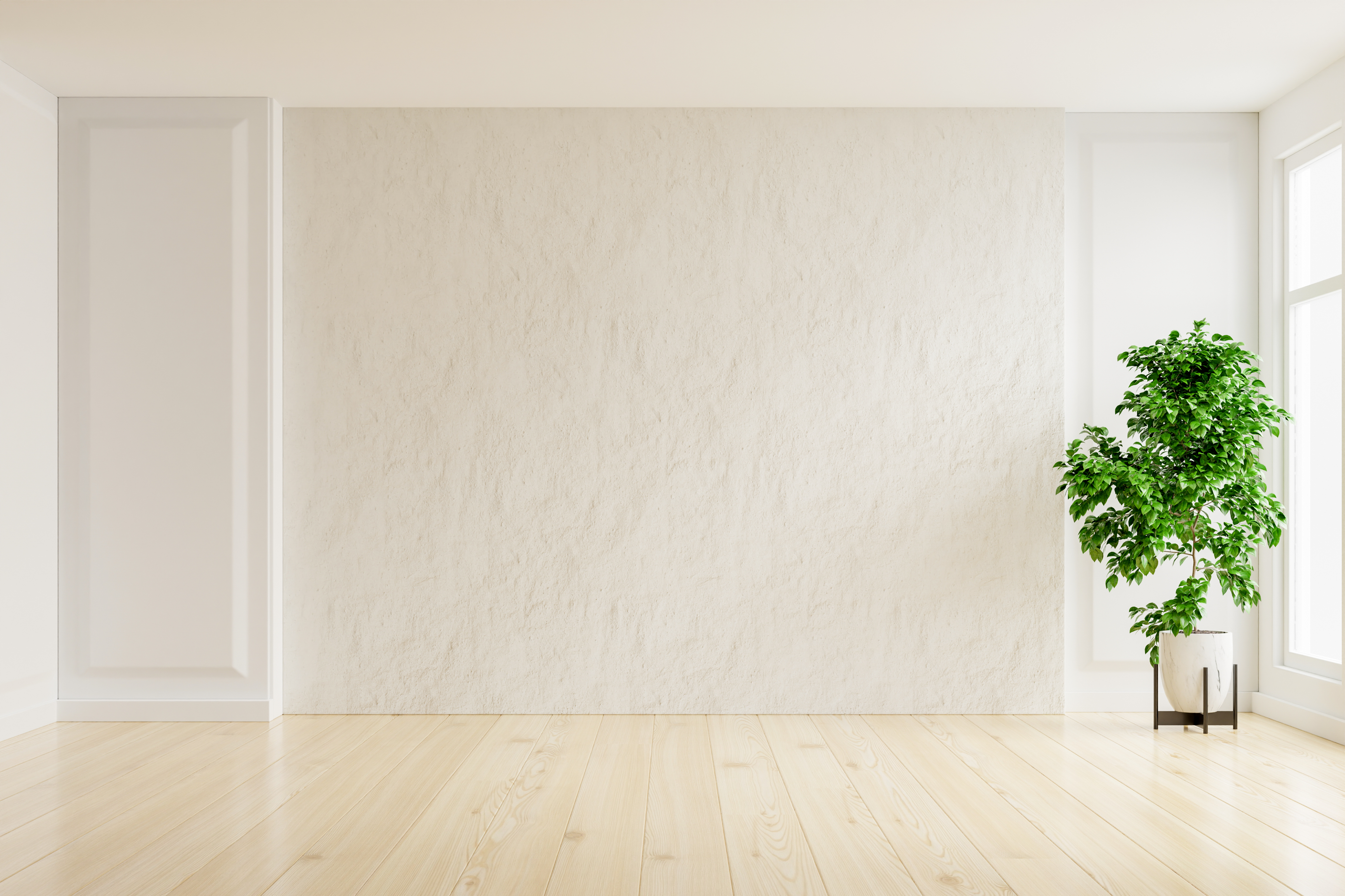Plaster Walls Plaster Walls