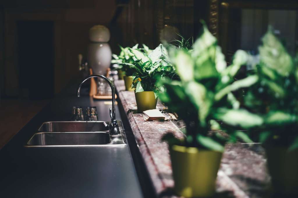 Use something Natural - Indoor Plants Use something Natural - Indoor Plants