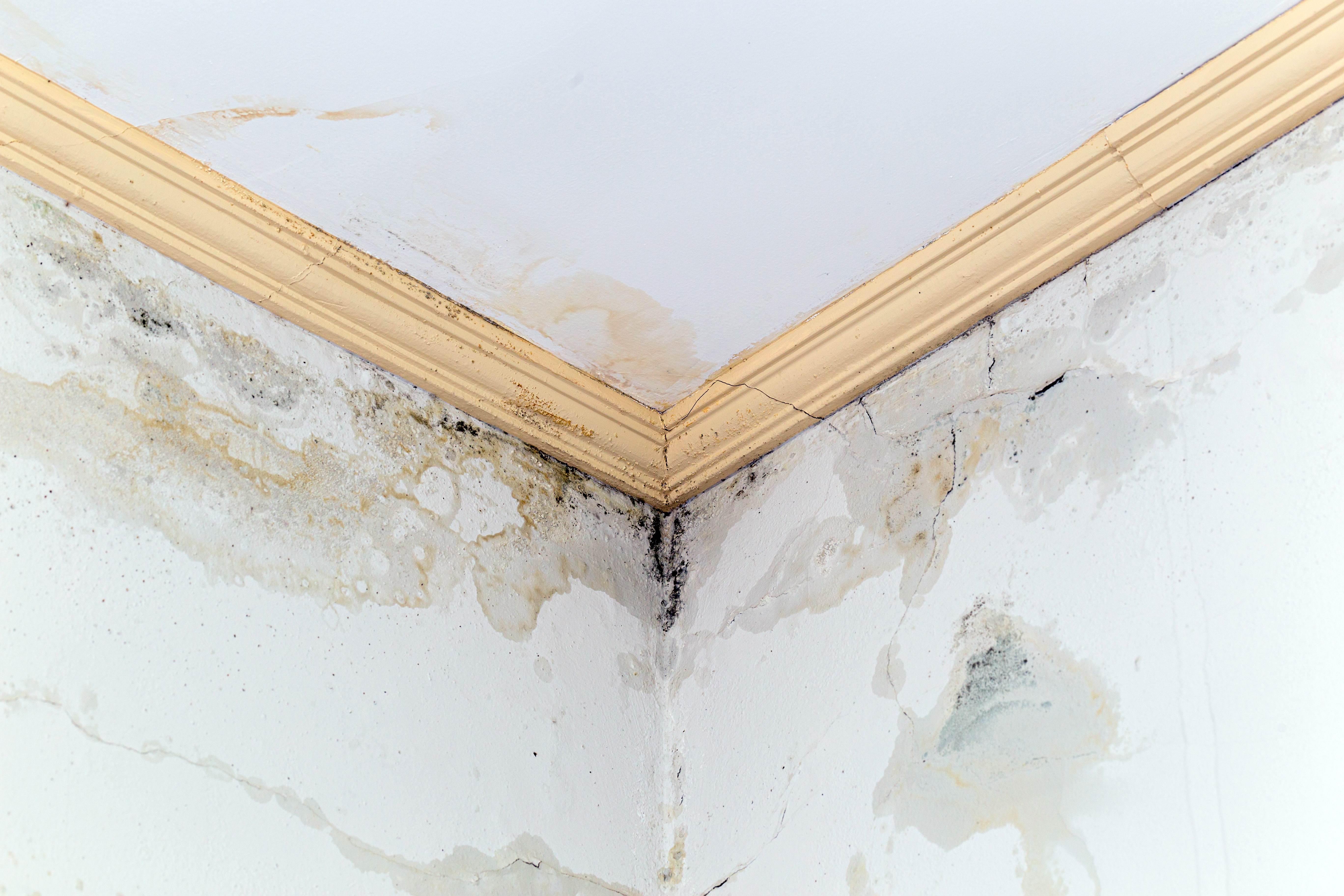 Waterproofing Inspection Waterproofing Inspection