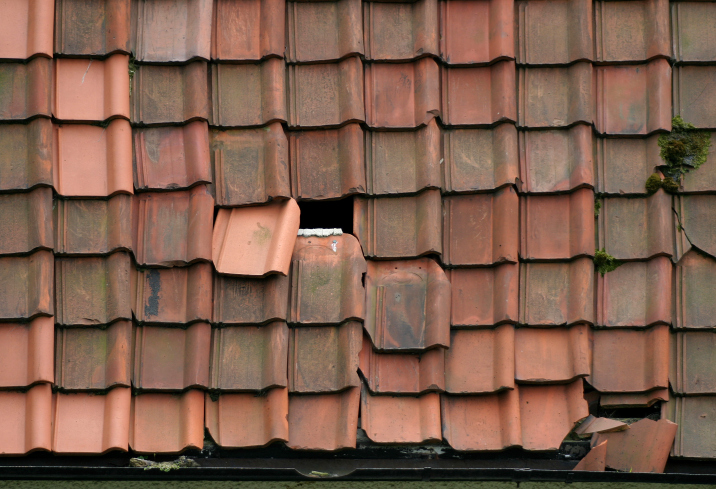 Broken Shingles
