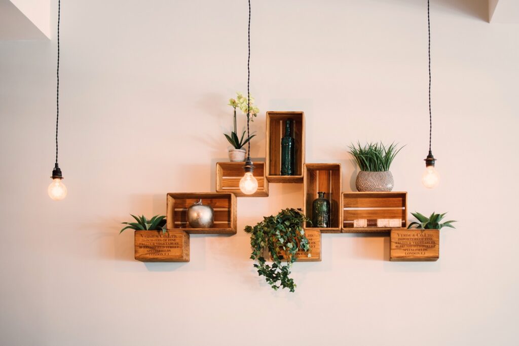 Hanging Wall Plant