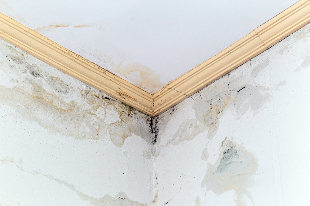 Leaking Roof