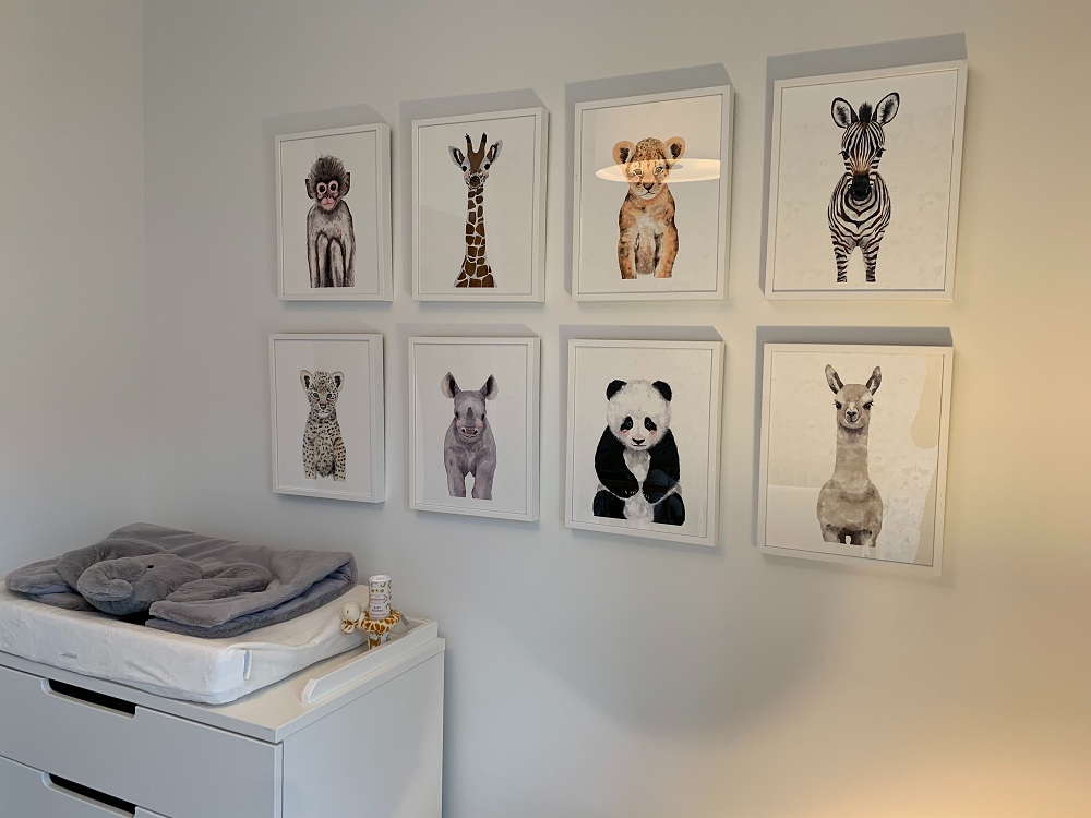 Pet Wall Frames