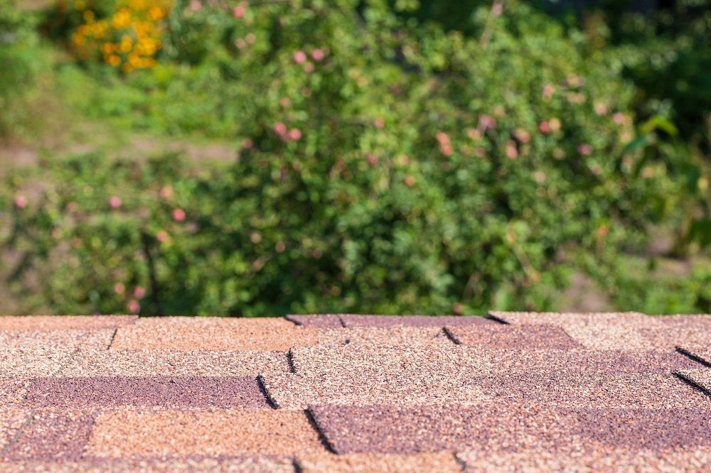 Shingles Losing Granules