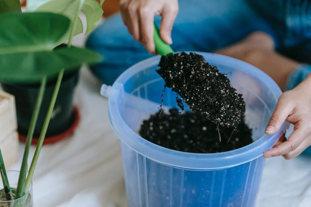 Fertilizing