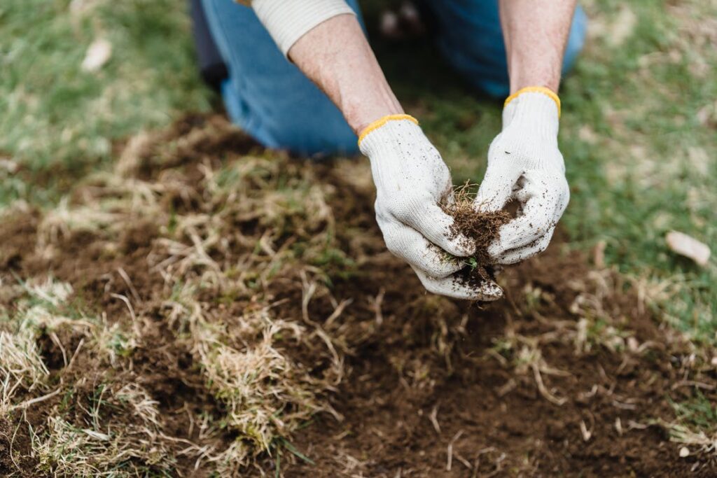 Supplementing your Soil