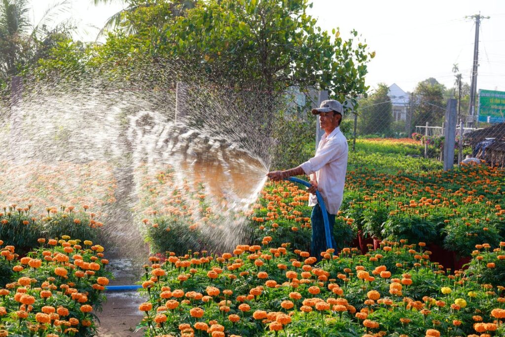 Watering your Garden