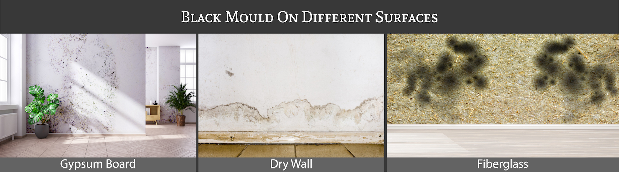 Black Mould On Different Surfaces Black Mould On Different Surfaces