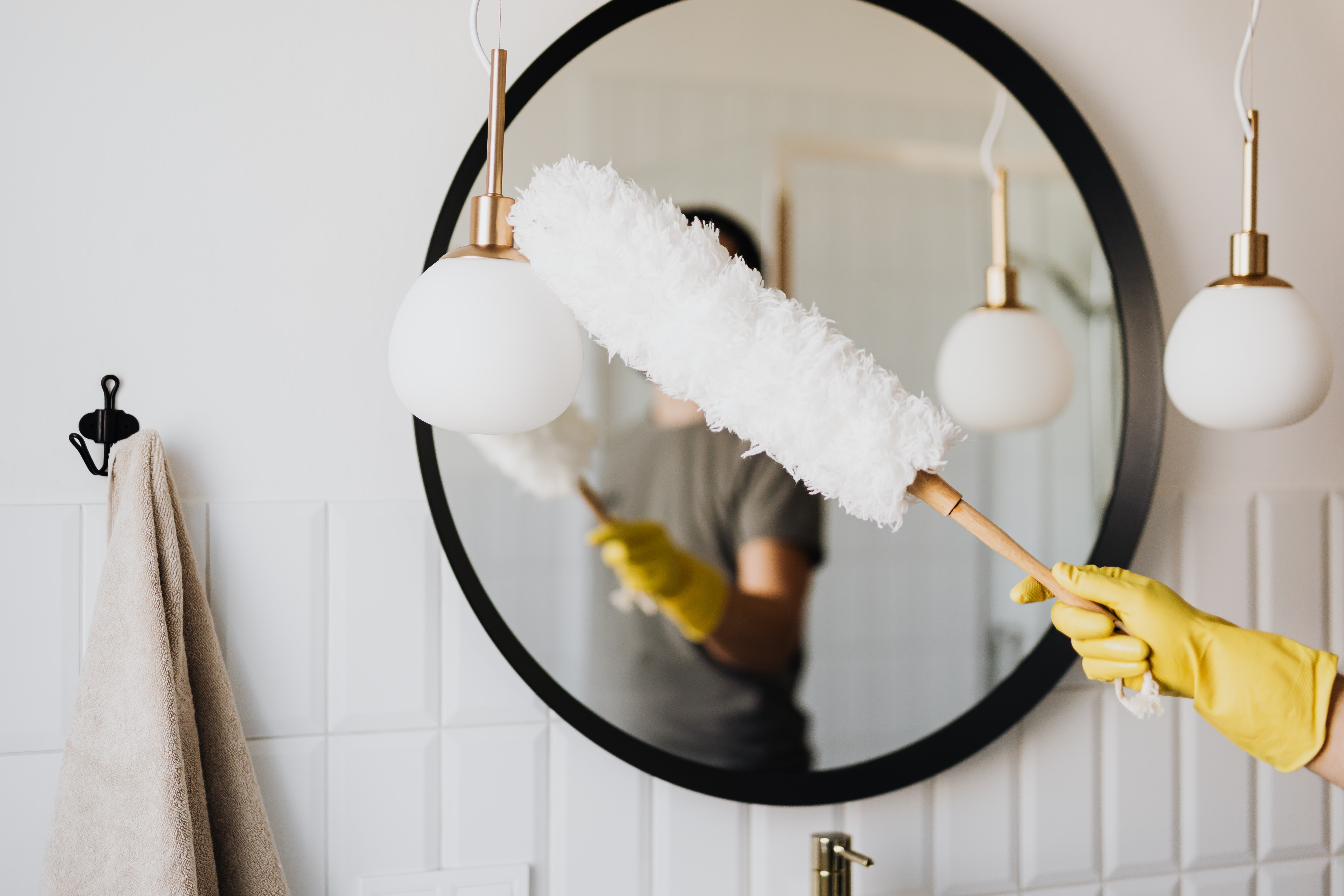 Feather Duster