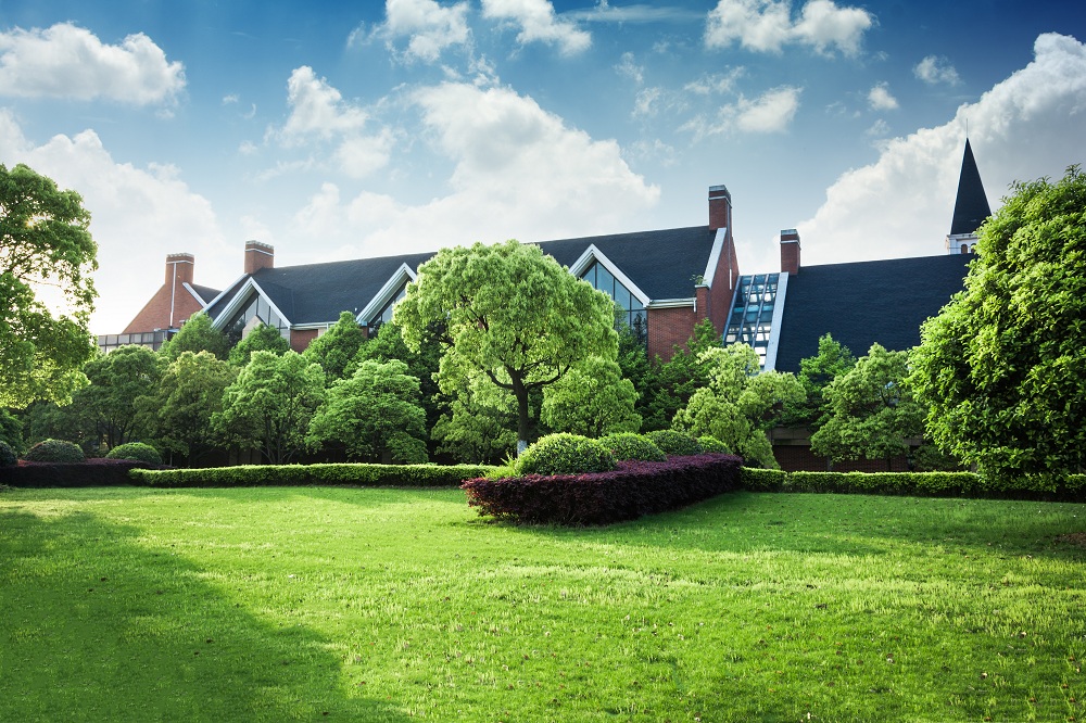 Large Size Lawn