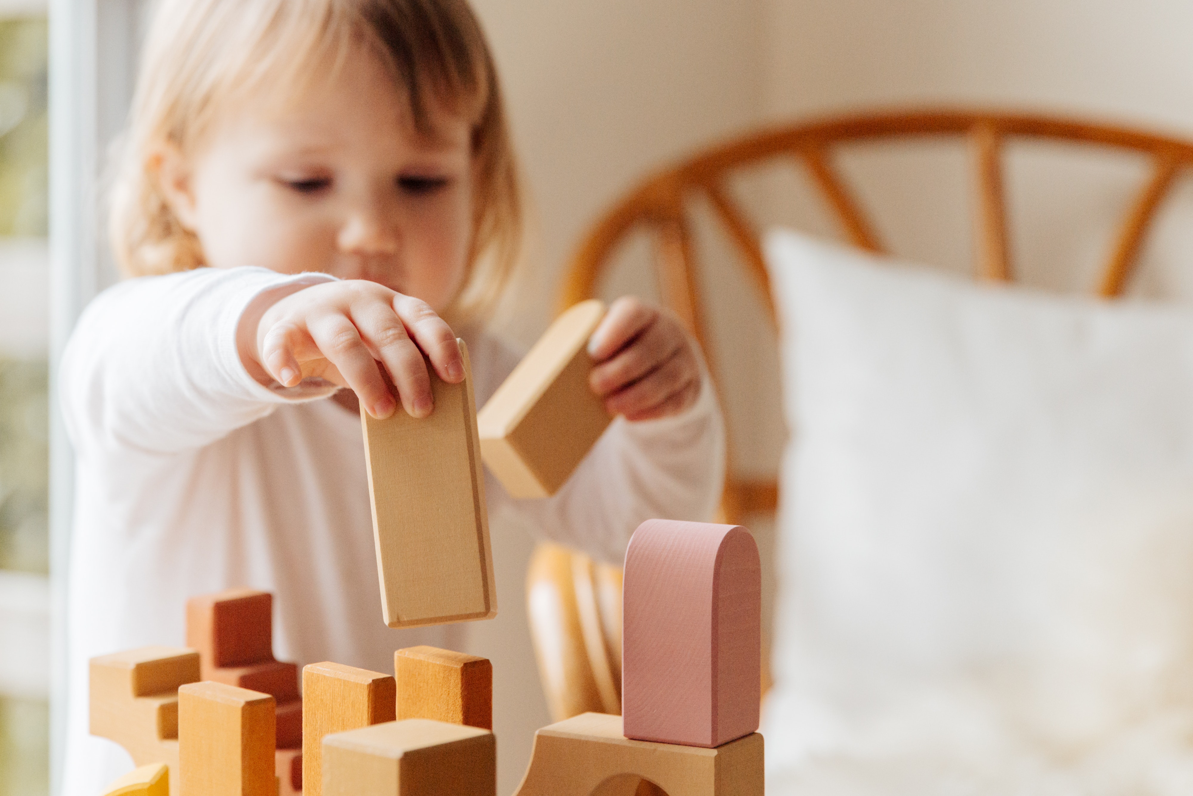 Montessori Educational Toys