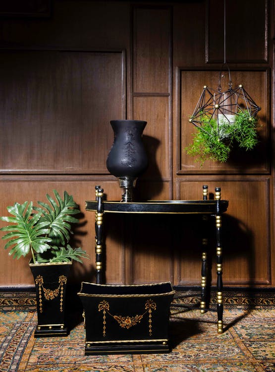 Plants as focal point in interior design