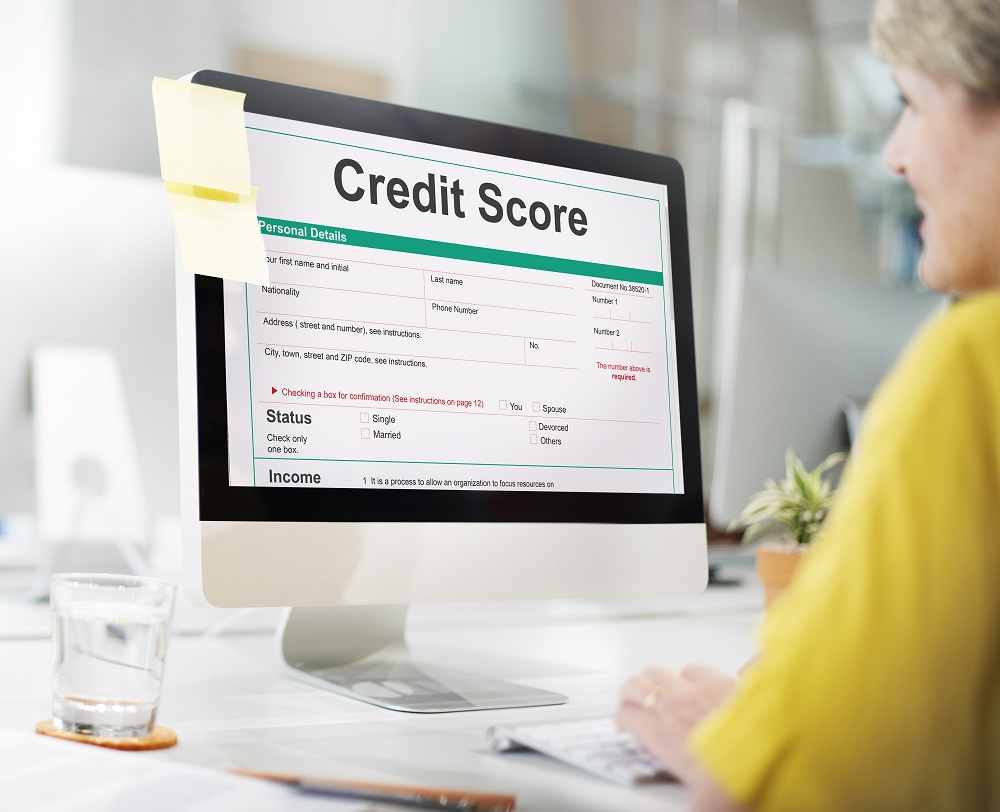 The Borrower's Credit Score The Borrower's Credit Score