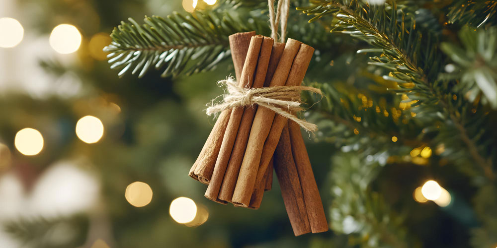 Bundle of Cinnamon Sticks