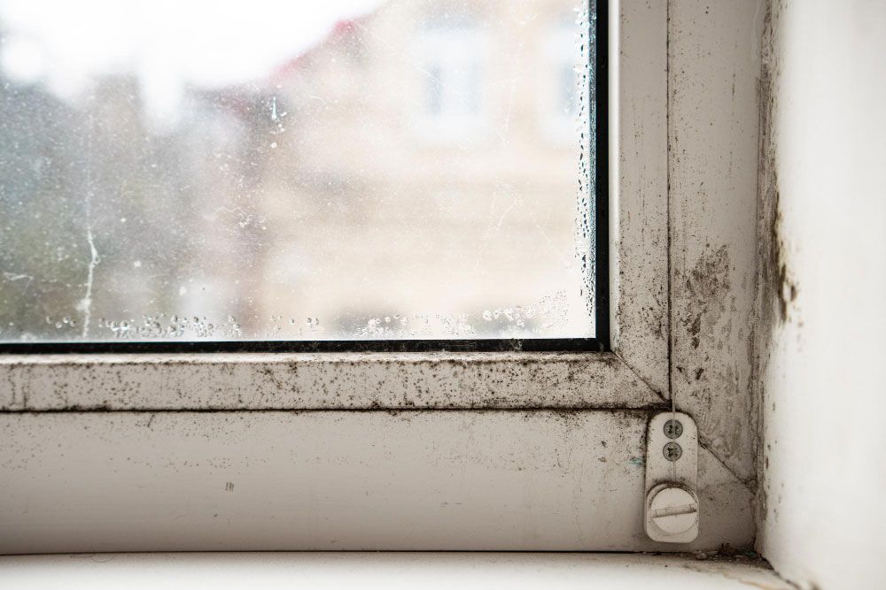 Condensation on Window