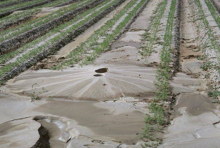 Cyclic Liquefaction Cyclic Liquefaction