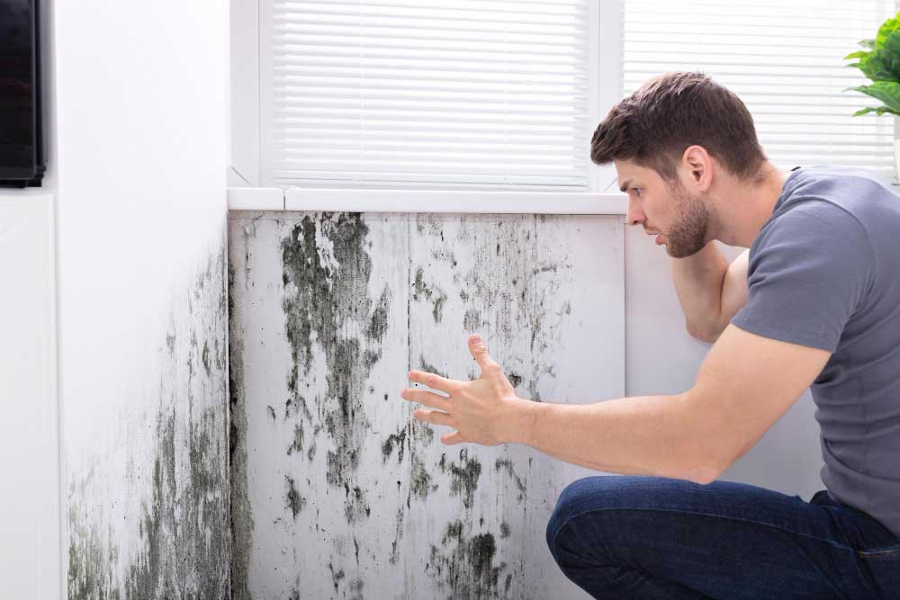 Dirty Smell of Mold