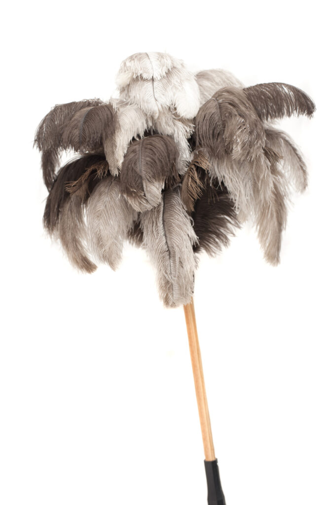 Electrostatic Duster Electrostatic Duster