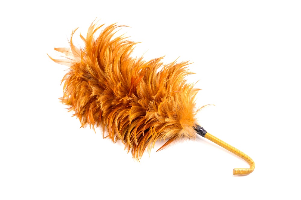 Feather Duster Feather Duster