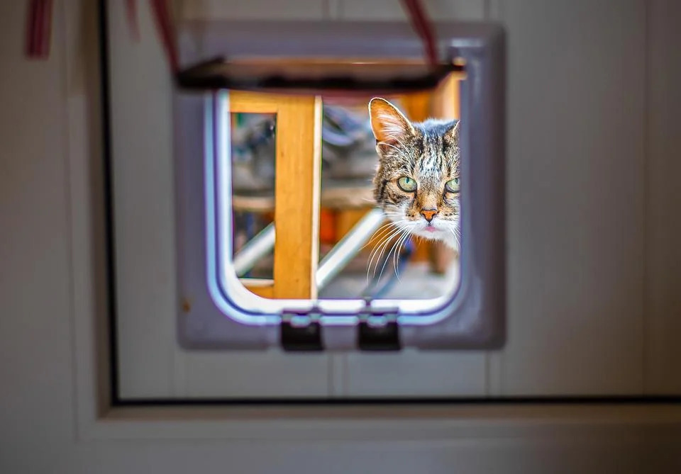 Glass door opening for Pet Door
