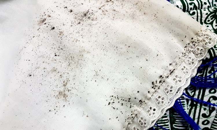 How To Remove Mildew From Fabric