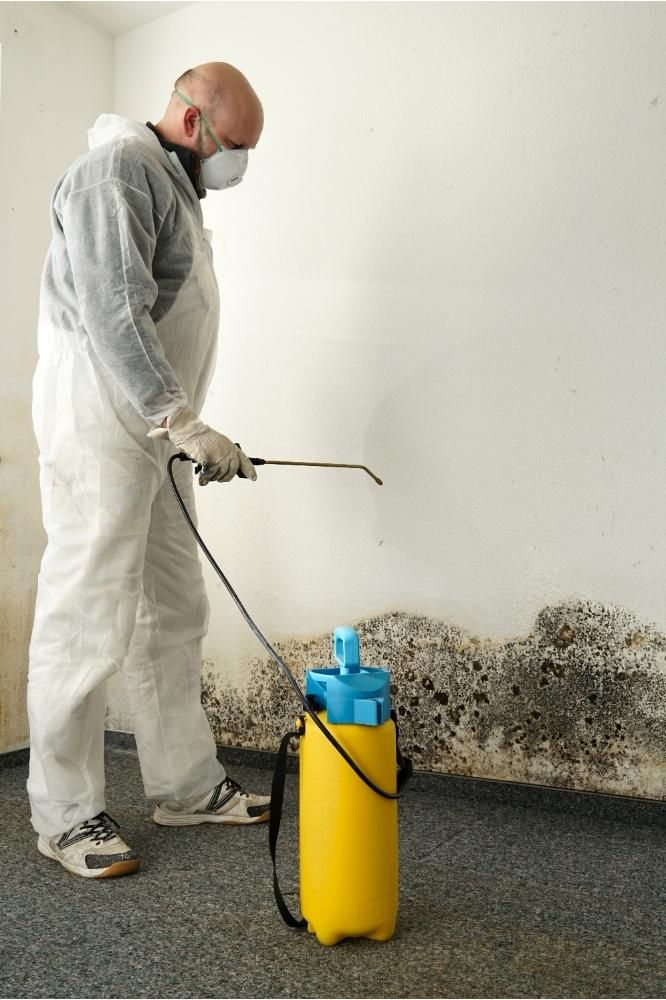 How to Treat Mold in Your Basement