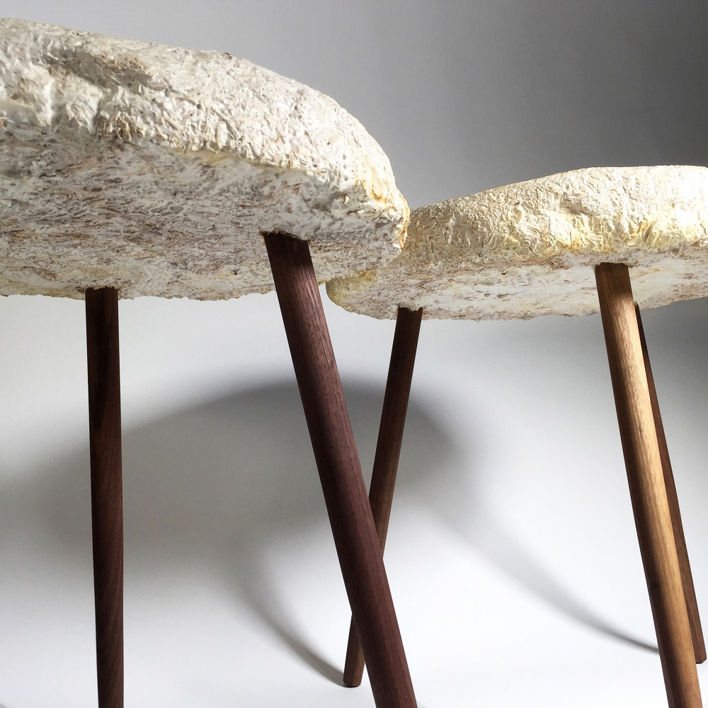 Mycelium Stool Mycelium Stool