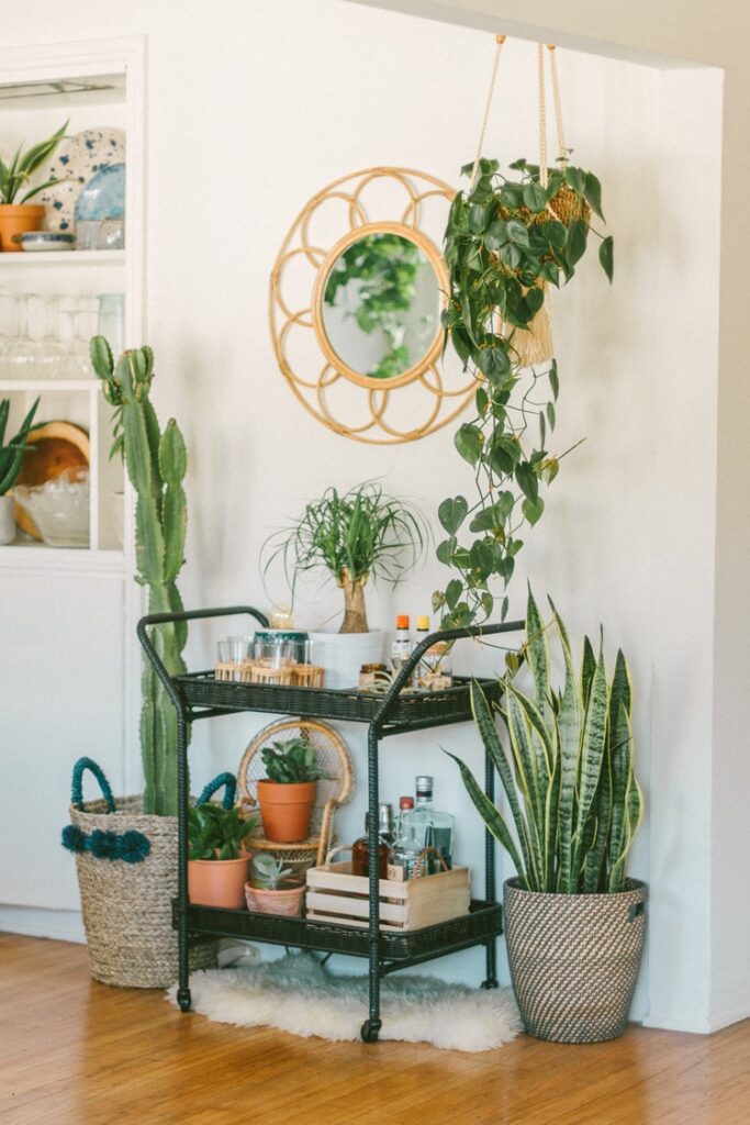 Natural and planters on bar cart Natural and planters on bar cart
