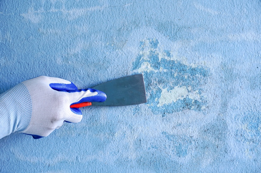 Paint Scraper Paint Scraper
