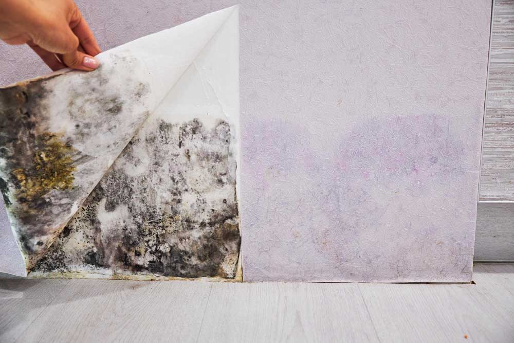 Peeling Wallpaper or Paint
