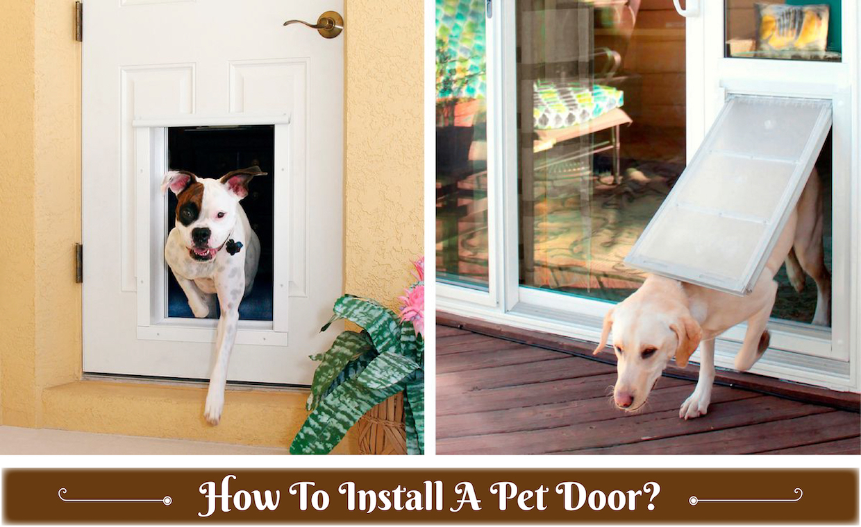 Pet Door