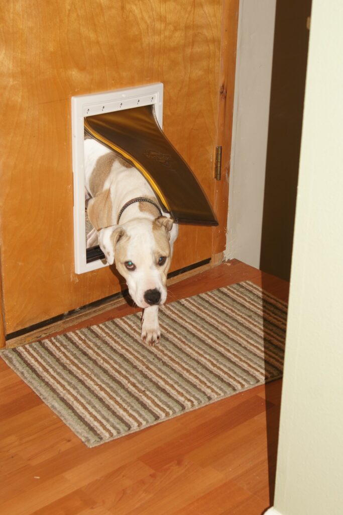 Pet Doors with Locks