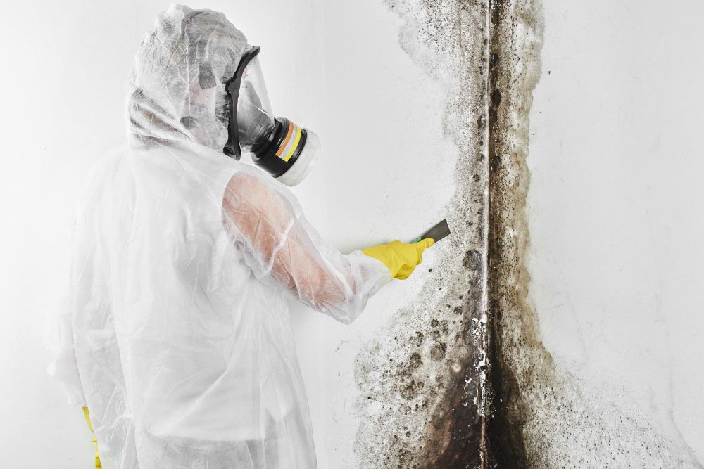 Probing the Area for Mold