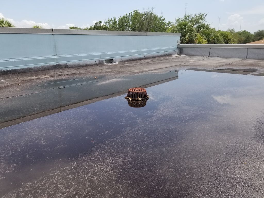Removing Stagnant Water Removing Stagnant Water