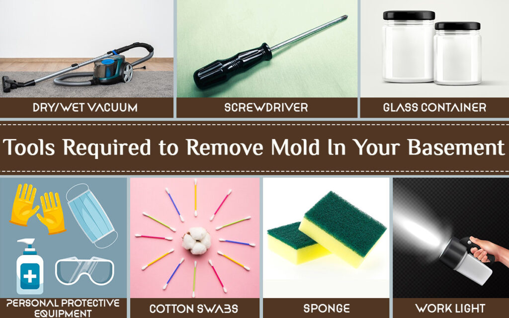 Tools required to remove mold from basement Tools required to remove mold from basement
