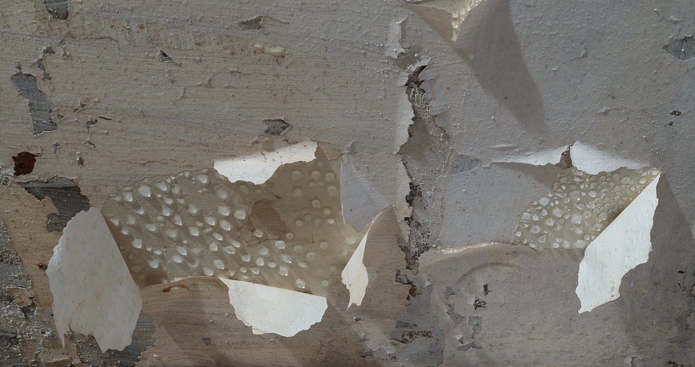 Water Leakage Water Leakage
