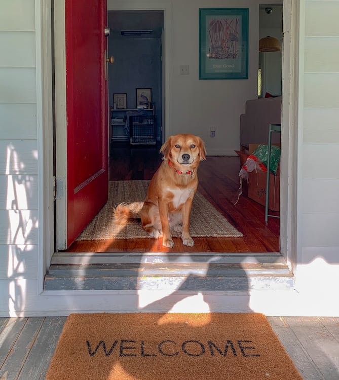 how to use a pet door